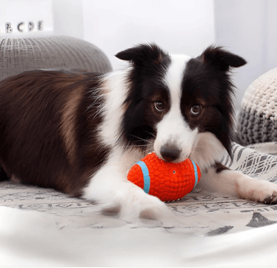 ChewBall® Bola Ultrarresistente para Pets (Compre 1 Leve 2) - Ideia Shopping