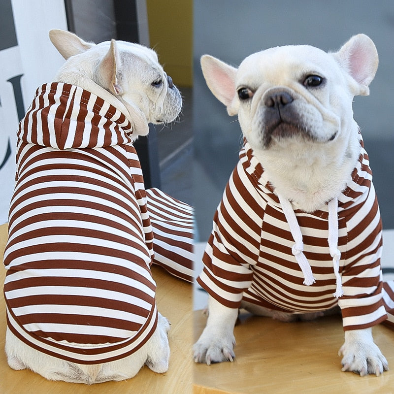 Agasalho Pet Style | Para Cachorro