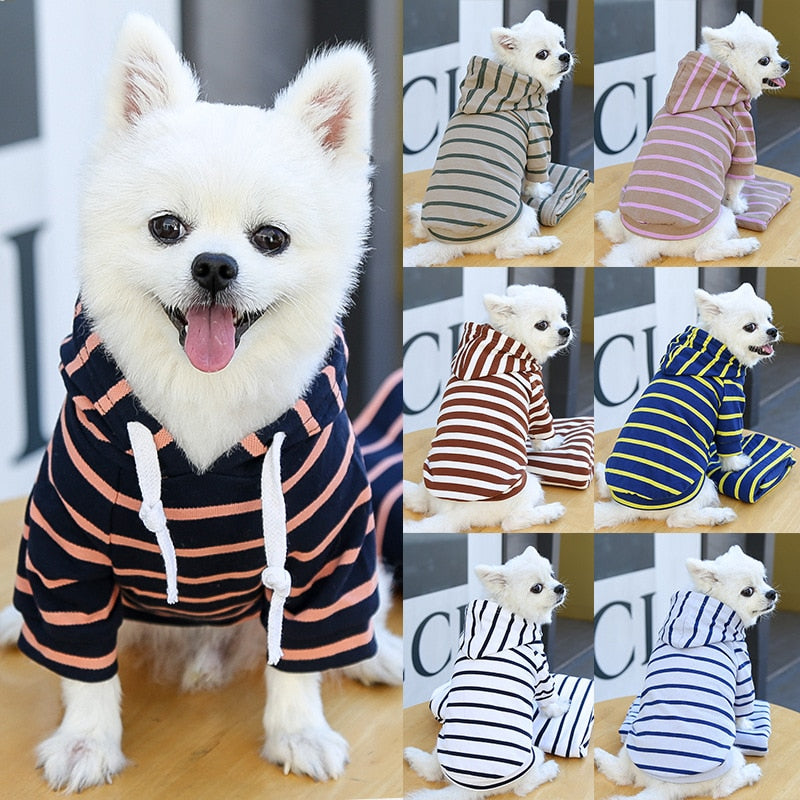 Agasalho Pet Style | Para Cachorro
