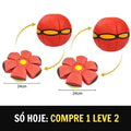 Flyball® Bola Voadora para Cães (COMPRE 1 LEVE 2) - Ideia Shopping