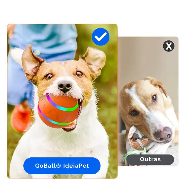 GoBall - Bola Interativa de Rolagem Automática (Controle Remoto de Brinde)