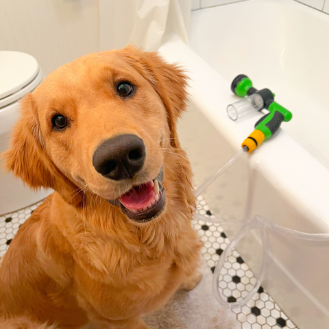 Pet Jet - A maneira rápida de dar banho em qualquer pet!