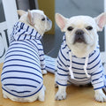 Agasalho Pet Style | Para Cachorro