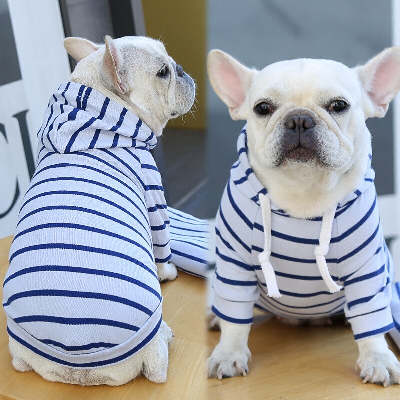 Agasalho Pet Style | Para Cachorro