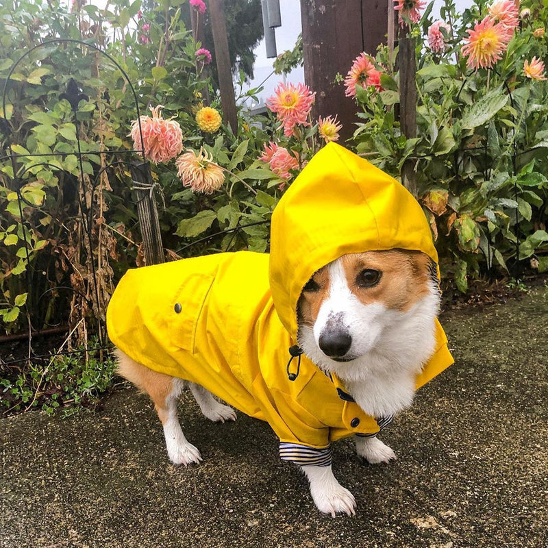 Capa de Chuva com Listras