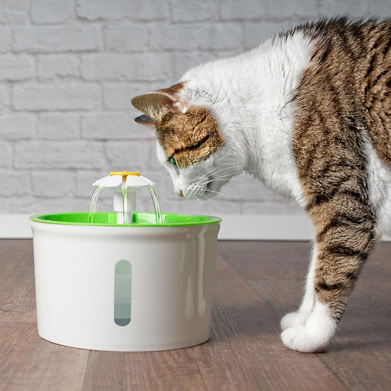 Fonte de Água | Para Gatos