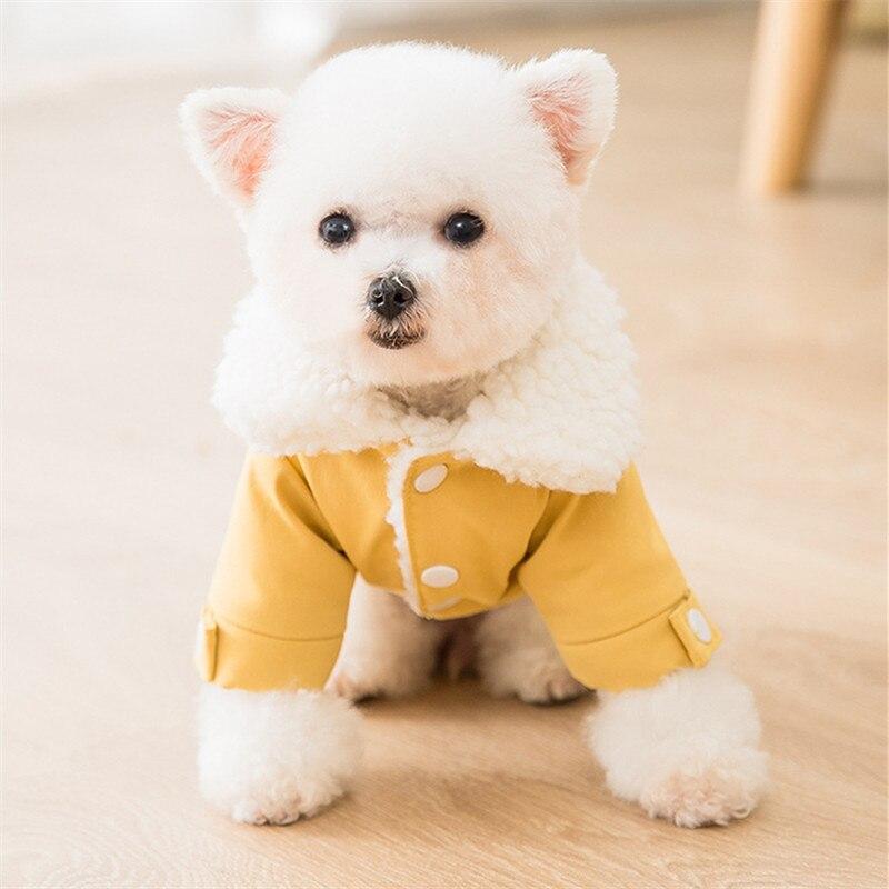 Casaquinho Pet Smile | Para Cachorro e Gato