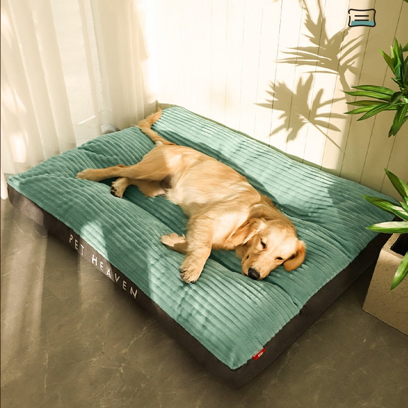 Caminha Pet Dream - para cachorro e gato