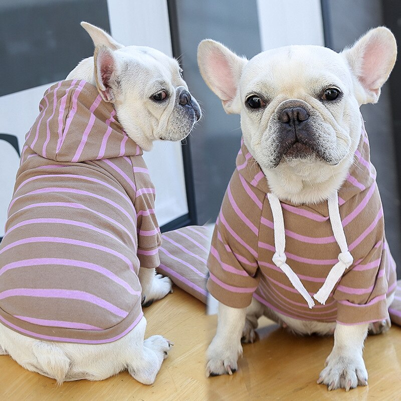 Agasalho Pet Style | Para Cachorro