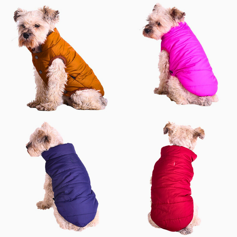 Colete Pet Winter | Roupa de inverno | Para Cachorro e Gato