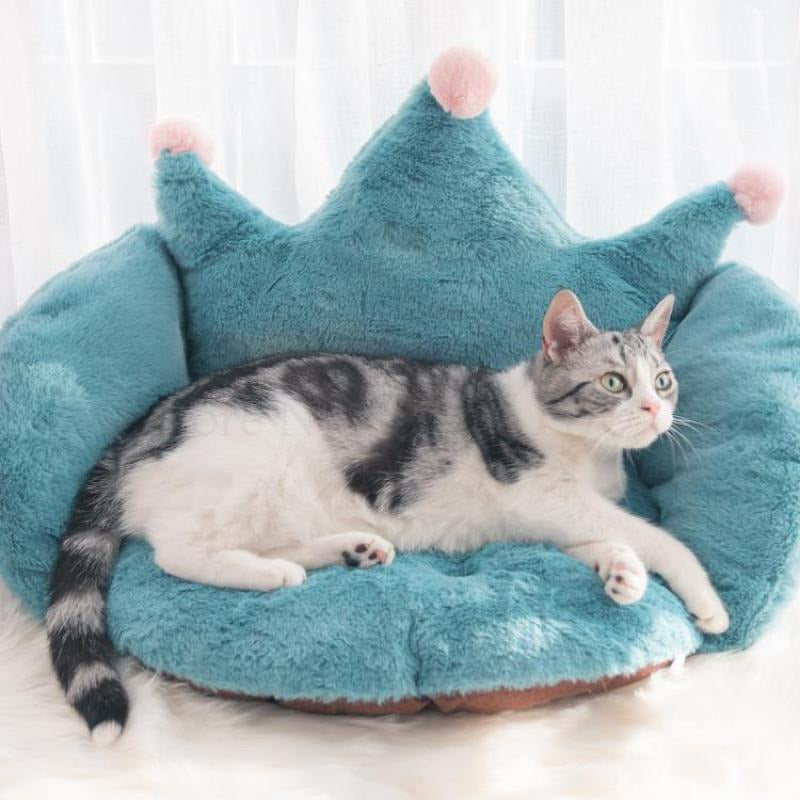 Almofada Gato Rei | Para Gato