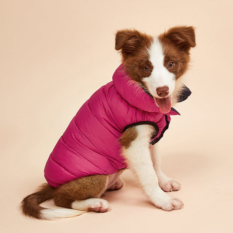 Colete Reversível Colorful | Para Cachorro e Gato