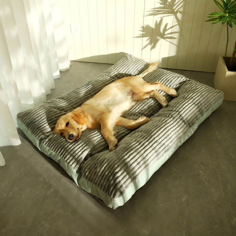 Caminha Pet Dream - para cachorro e gato