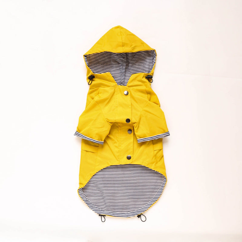 Capa de Chuva com Listras