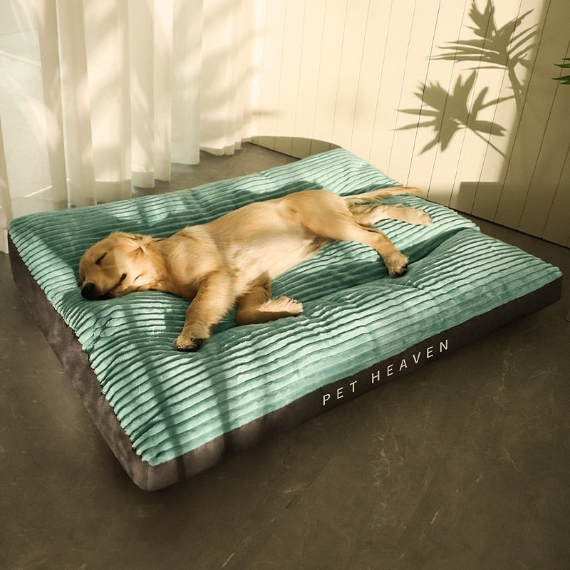 Caminha Pet Dream - para cachorro e gato
