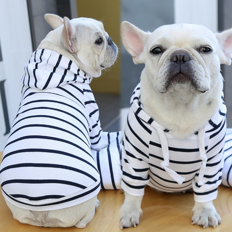 Agasalho Pet Style | Para Cachorro