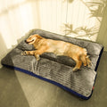Caminha Pet Dream - para cachorro e gato