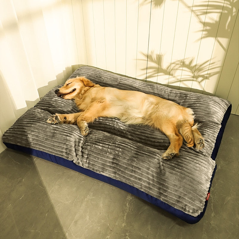 Caminha Pet Dream - para cachorro e gato