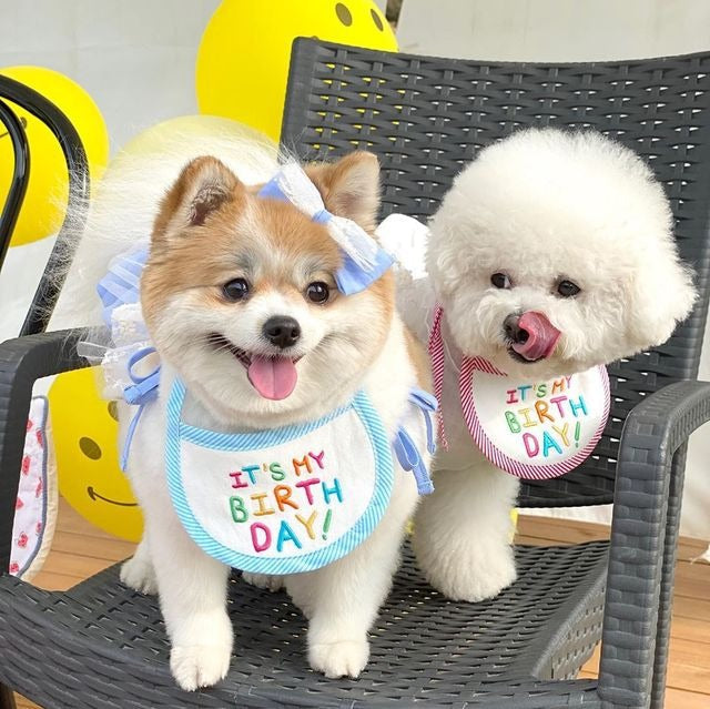 Bandana Feliz Aniversário | Para Cachorro