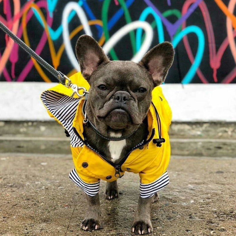 Capa de Chuva com Listras