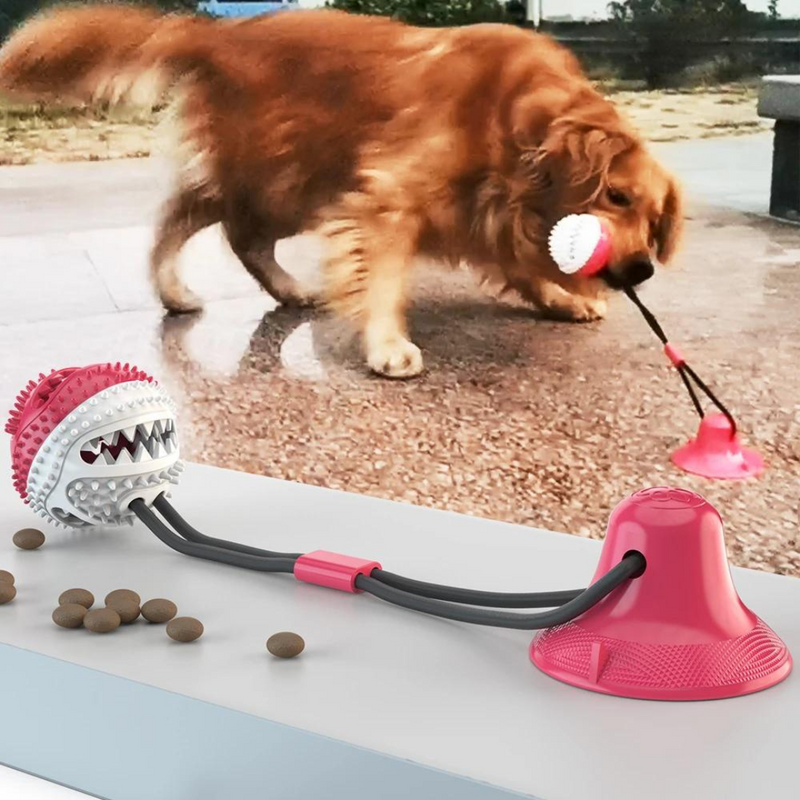 Cabo de Guerra com Porta Petiscos + Brinde Mordedor para Cachorro