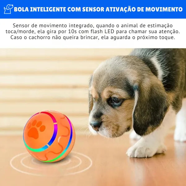 GoBall - Bola Interativa de Rolagem Automática (Controle Remoto de Brinde)