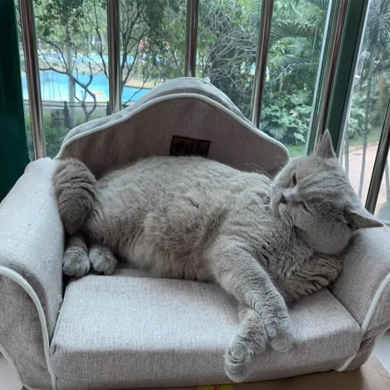 Cama Pet Sofá Trono