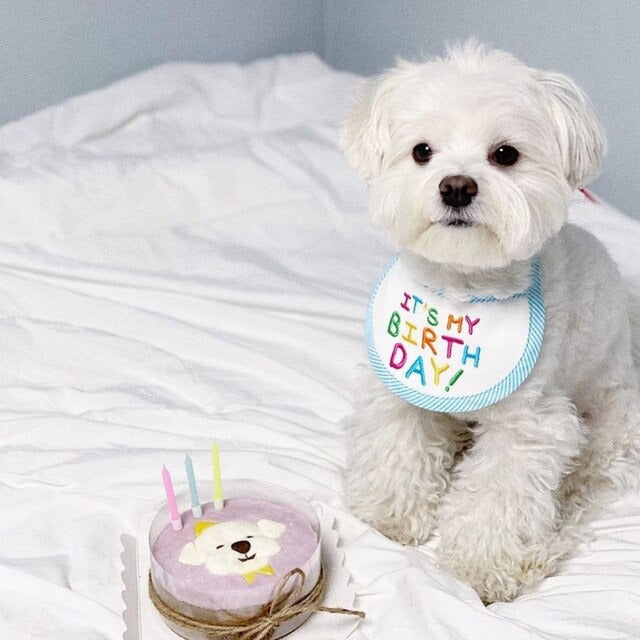 Bandana Feliz Aniversário | Para Cachorro