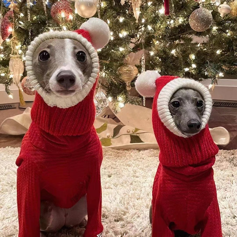 Gorro Papai Noel  | Para cachorro e gato