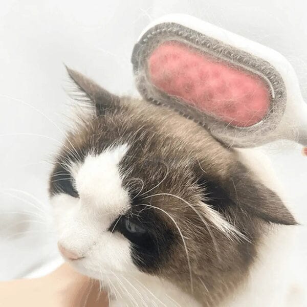 Escova de Pelos para Gatos - PetPro®