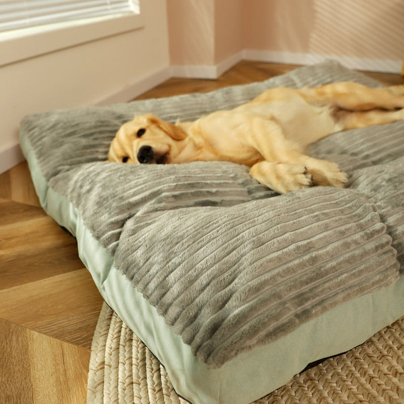 Caminha Pet Dream - para cachorro e gato