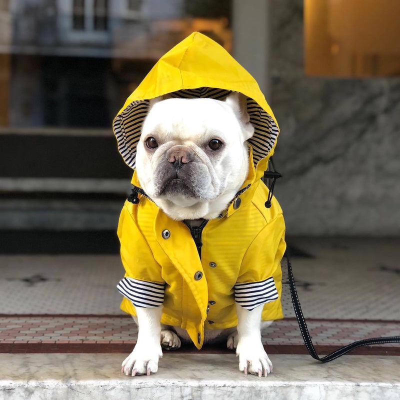 Capa de Chuva com Listras
