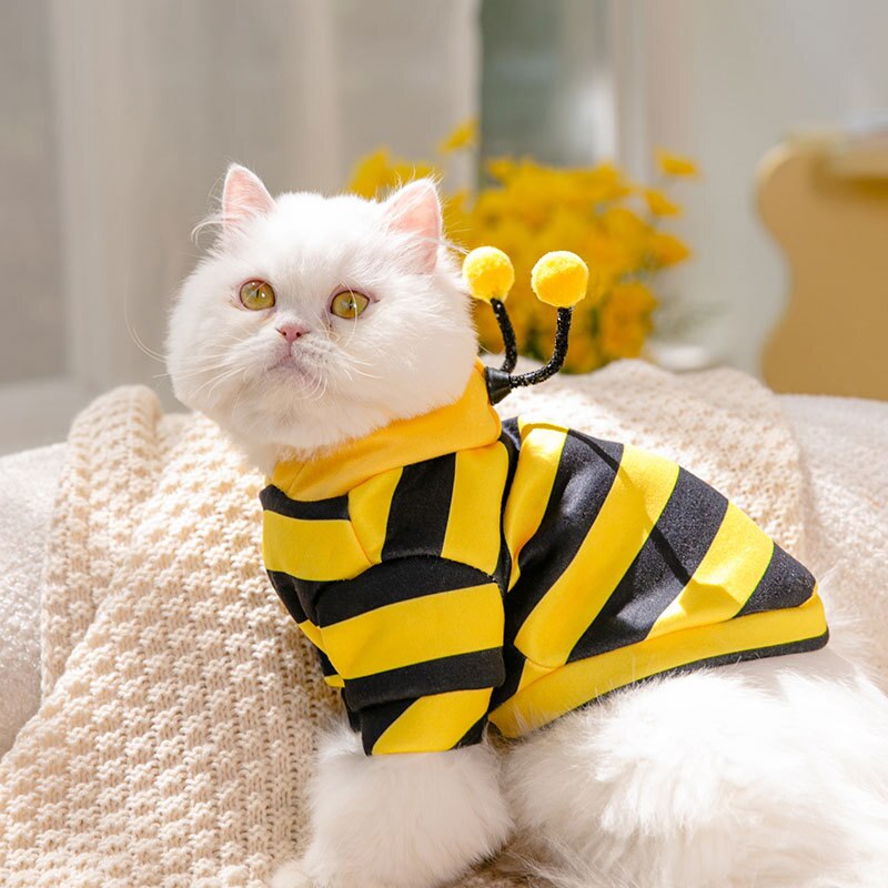 Moletom Bee