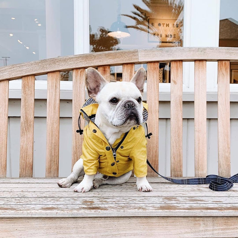 Capa de Chuva Pet | Para Cachorro