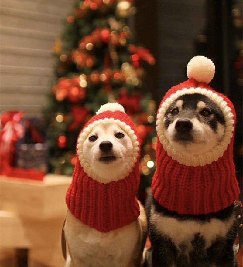 Gorro Papai Noel  | Para cachorro e gato