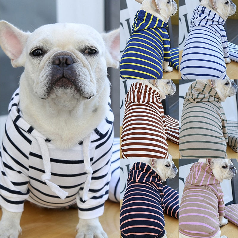 Agasalho Pet Style | Para Cachorro