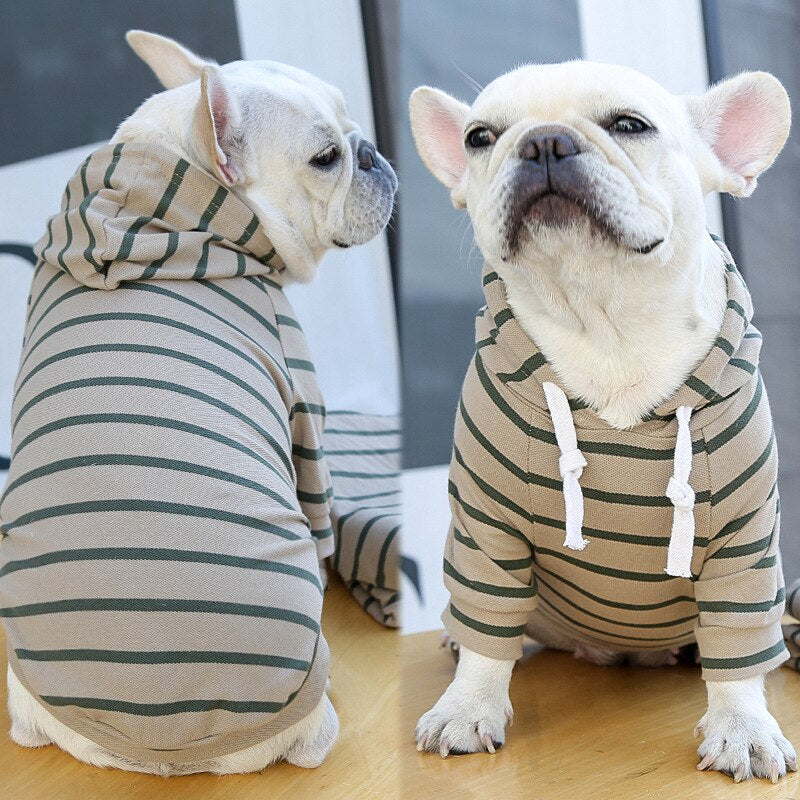 Agasalho Pet Style | Para Cachorro