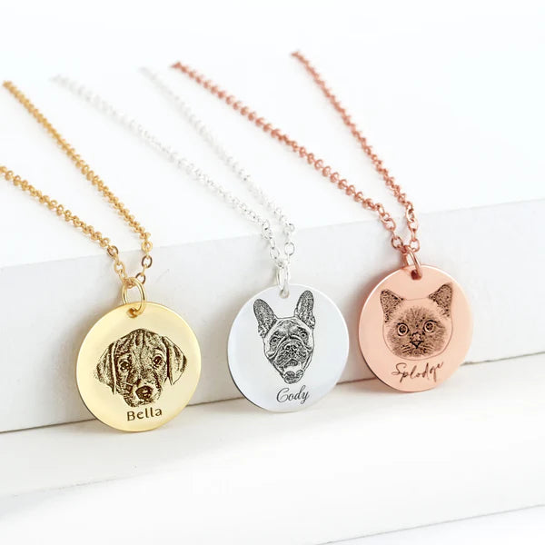 Colar Personalizável com Foto e Nome para Pet em Aço Inoxidável (GRAVAÇÃO DE NOME À LASER GRÁTIS HOJE)
