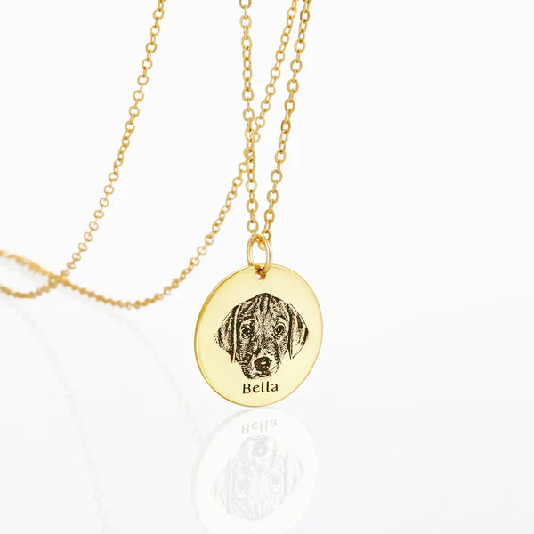 Colar Personalizável com Foto e Nome para Pet em Aço Inoxidável (GRAVAÇÃO DE NOME À LASER GRÁTIS HOJE)