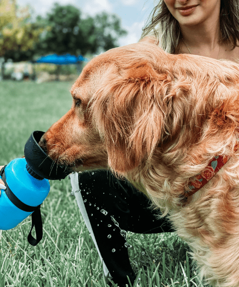 Garrafa Portátil para cães Pet Premium - Ideia Shopping