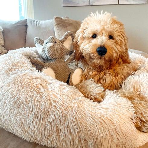 Cama Nuvem Para Gatos e Cachorros - Rosa - Ideia Shopping