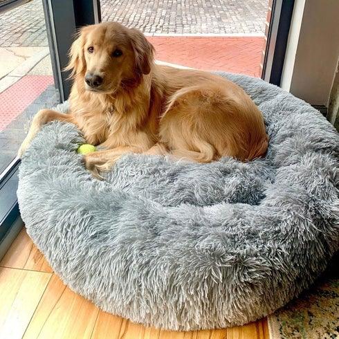 Cama Nuvem Para Gatos e Cachorros - Cinza Claro - Ideia Shopping