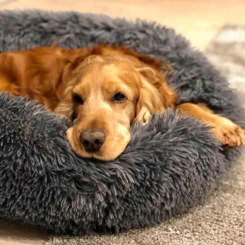 Cama Nuvem Para Gatos e Cachorros - Vinho - Ideia Shopping