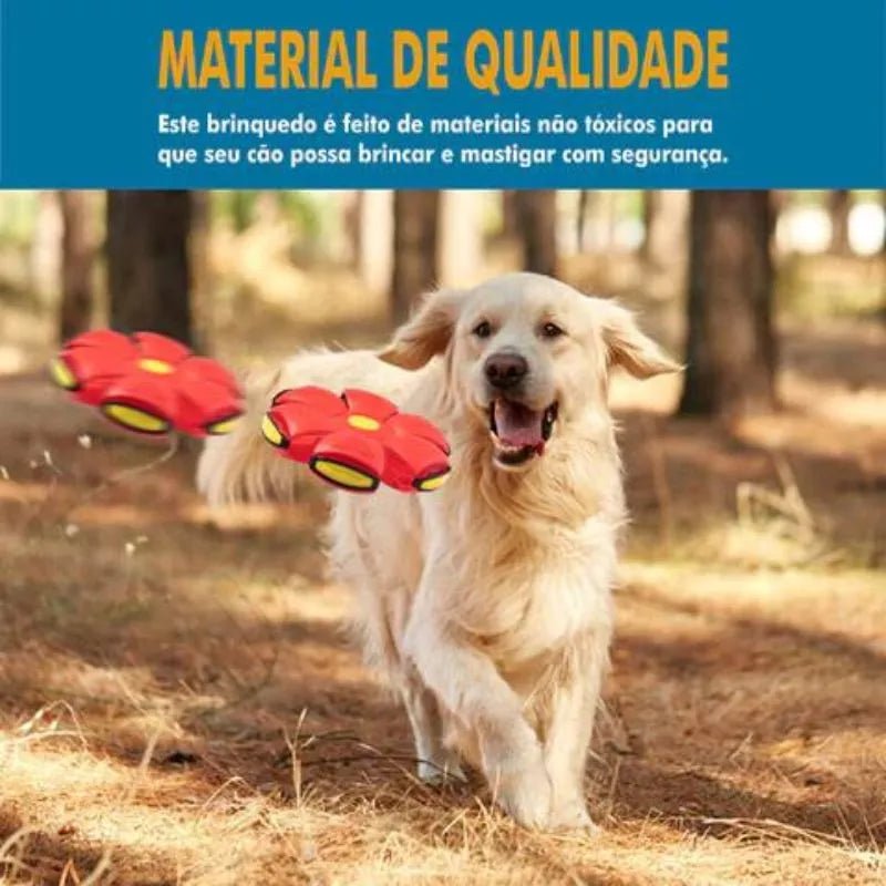 Flyball® Bola Voadora para Cães (COMPRE 1 LEVE 2) - Ideia Shopping