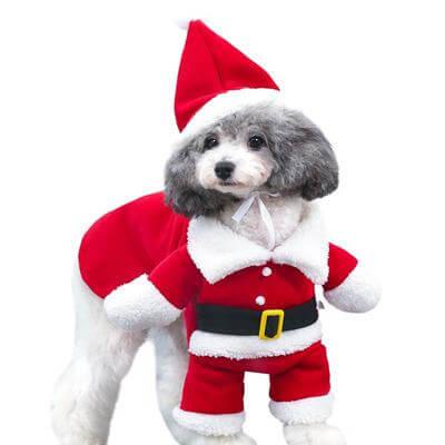 Fantasia de Natal para Cachorro - Ideia Shopping